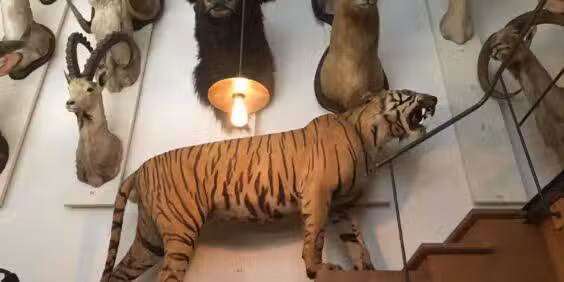 The Museum of Hunting and Nature ♡