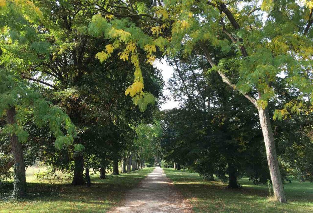 arboretum de Paris