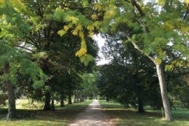 arboretum of Paris