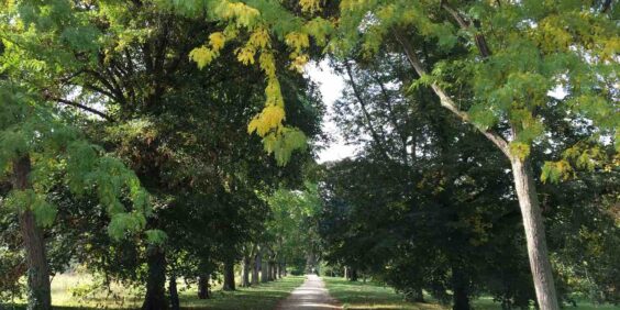 The Paris Arboretum