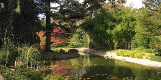 Que faire pendant les vacances de la Toussaint ?