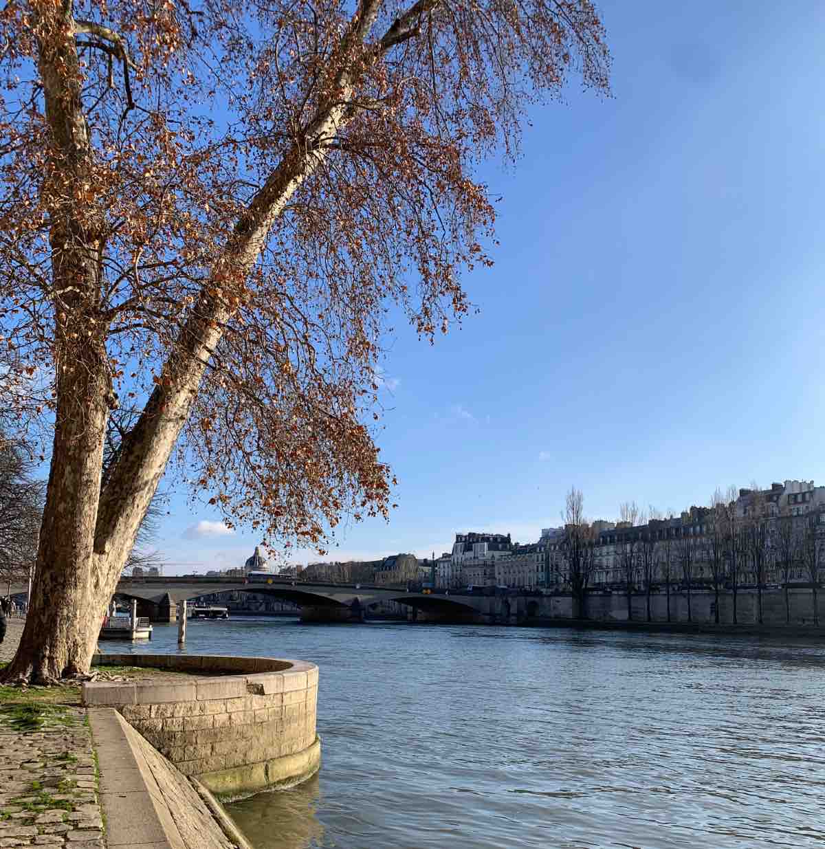 Paris En Famille Visites Activites Sorties Enfants Familin Paris Paris En Famille Visites Activites Sorties Enfants Familin Paris