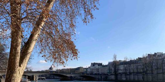Que faire à Paris ce dimanche ?