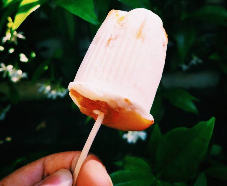 petit suisse glacé, la recette pour les enfants