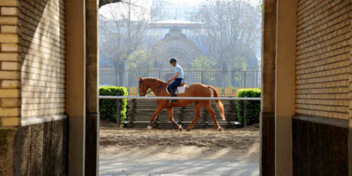 visit-cavalry-guard-republicaine-celestine visite-cavalerie-de-la-garde-republicaine-celestin